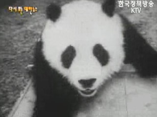 수재민에 위문품(`58)