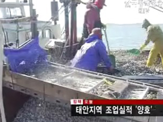 태안지역 조업실적 '양호'