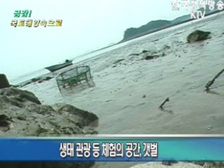  테마로 즐기는 갯벌 생태체험