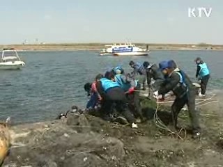 깨끗한 대한민국 만들기