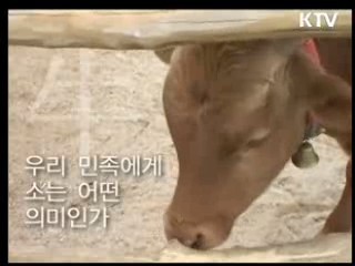 유성구청에서 들리는 워낭소리 [KTV 열린세상]