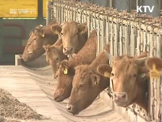 쇠고기 이력추적제 전면 시행