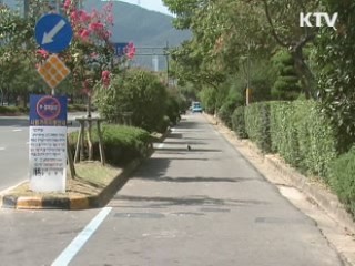 차 몰다 자전거도로 침범 땐 범칙금 문다