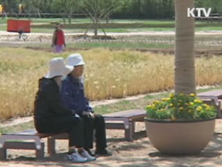 울산 태화강 '대숲 생태공원' 조성