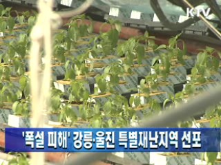 '폭설 피해' 강릉·울진 특별재난지역 선포