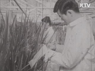 농진청 50년 '농업을 신성장동력으로'