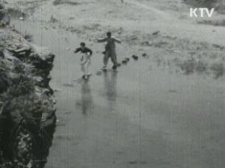 양산도 & 렌의 애가 [영화 이야기]