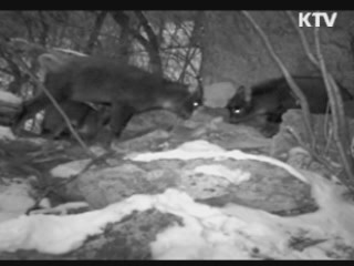 정책 현장 (13회)