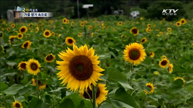 성큼 다가온 가을! 가을 향기 속으로~