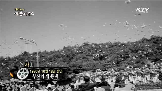 다시보는 대한늬우스 (80.10.18)