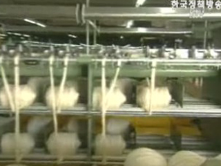 무분별한 실사 불가