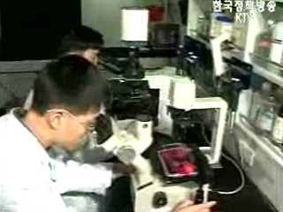 한약재에서 비만·당뇨 억제물질 발견