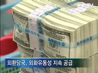 외환보유액 규모 '문제 없다'