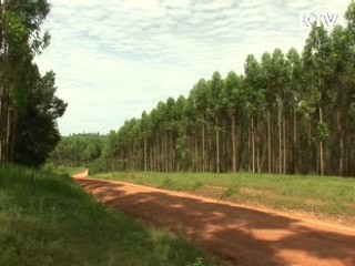 저탄소사회 구현 '녹색보험' 도입