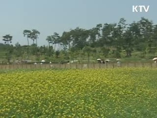 쓰레기로 89만가구 사용 에너지 생산