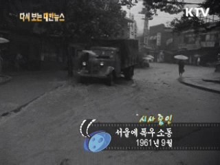 서울에 폭우 소동(61') 