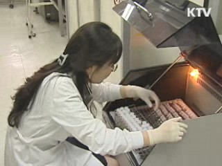 쌍벌제 시행…경조사비 '원칙적 금지'