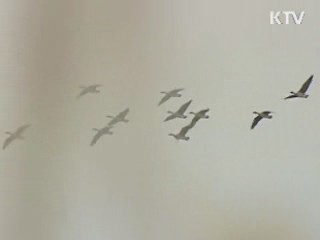 우포늪 세계유산 잠정목록 등재 신청