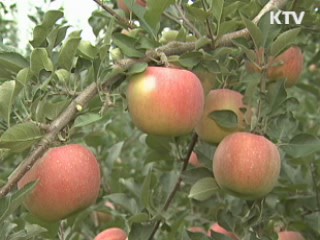 친환경 농업 5년간 4조 4천억원 투자