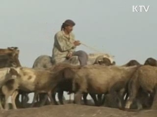 "불안심리 조기 차단, 국제공조 강화"