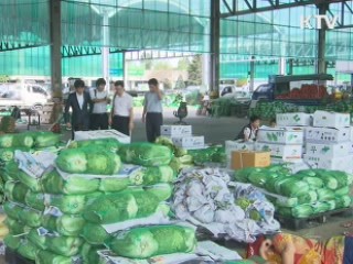 건고추·마늘…김장채소 수급안정 추진