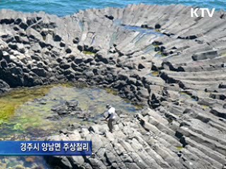 정책 오늘 (189회)