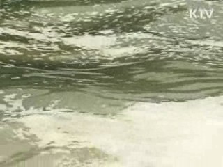 경남 해역 '적조경보' 발령···양식장 피해 우려