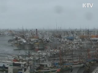 태풍 '덴빈' 북상…이번엔 비 피해 우려