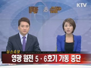 영광 원전 5·6호기 가동 중단
