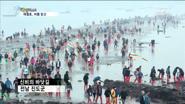 진도 신비의 바닷길…아픔딛고 손님맞이