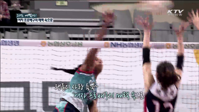 그녀는 예뻤다! 여자 프로배구의 매력 속으로 [국민체육 365]