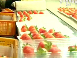 고객 만족형 개발